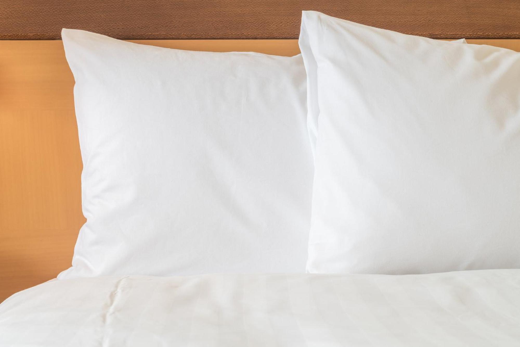 Holiday Inn Express Holly Springs - Raleigh Area By Ihg 外观 照片